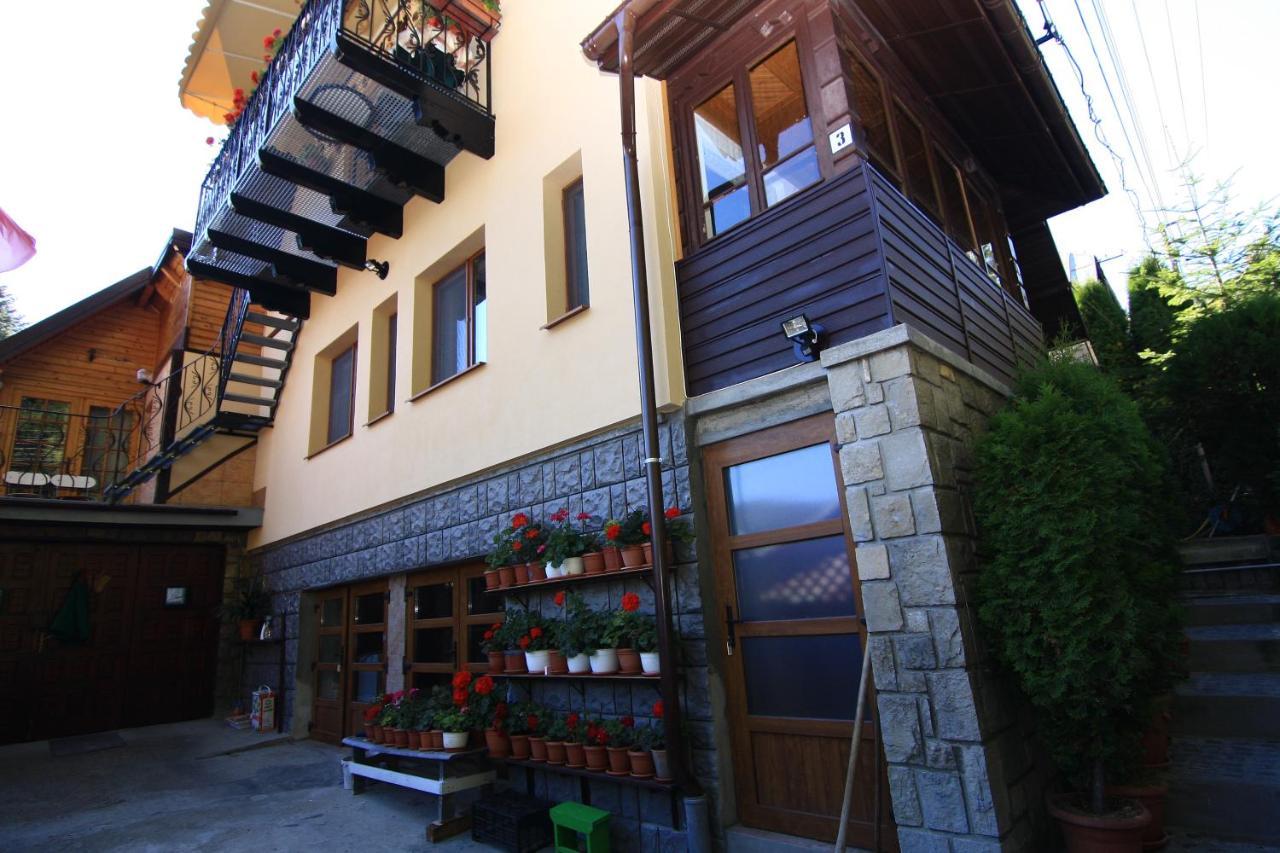 Casa Mikha Apartment Sinaia Exterior photo